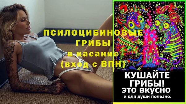 прущие крисы Верхний Тагил